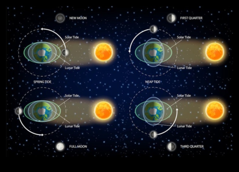 Debesu balets Lielisks mūsu Saules sistēmas priekšnesums 5 Debesu balets: Dejojošās lodes mūsu sistēmas lieliskajā izpildījumā