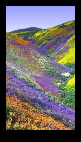 Harmonija dabā: rāmu ainavu kolekcija