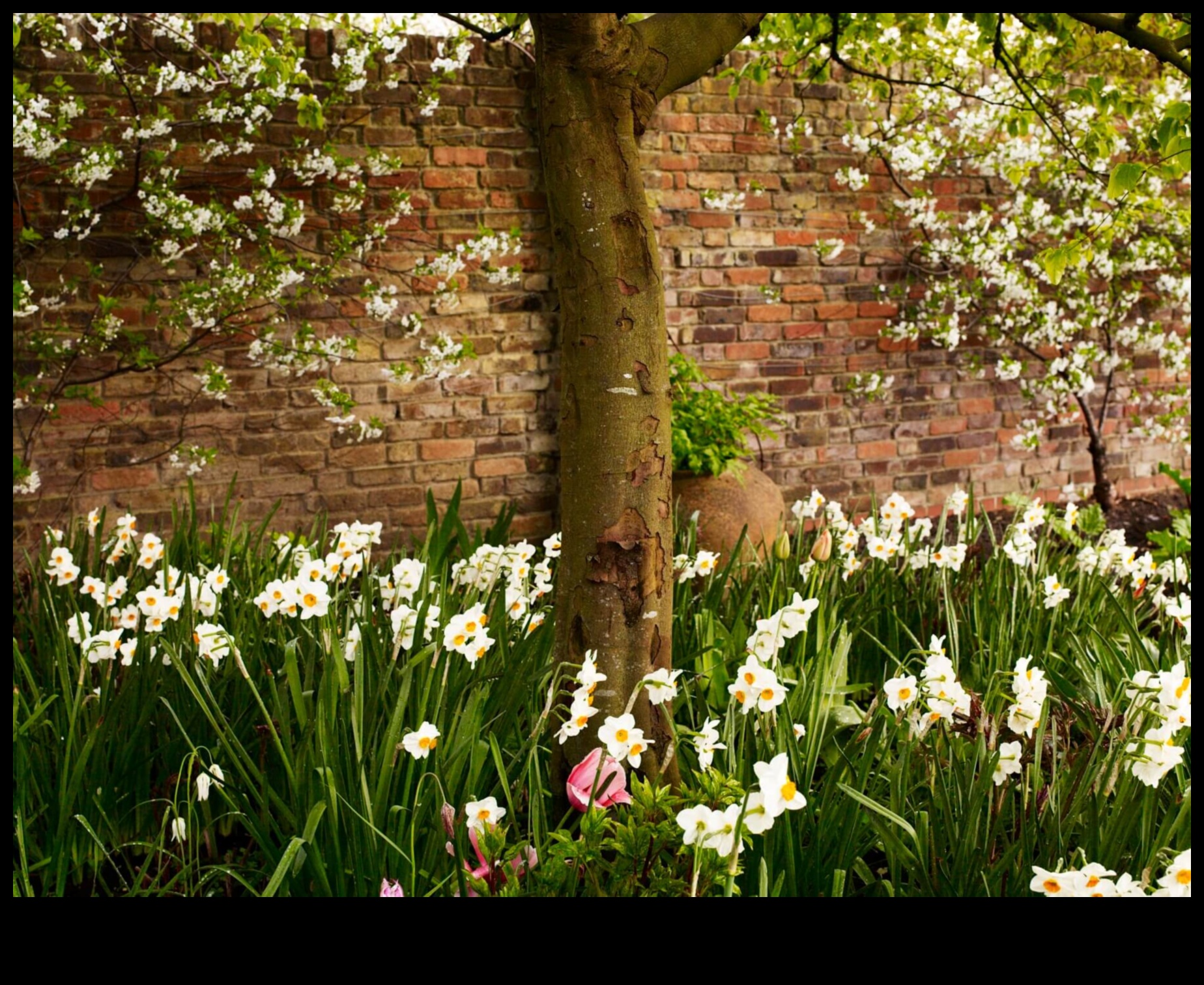 Ziedu un ziedēšanas ziedu stādaudzētavas ideāls katram gadījumam 3 Ziedēšana un ziedēšana: ziedu audzētavas pilnība