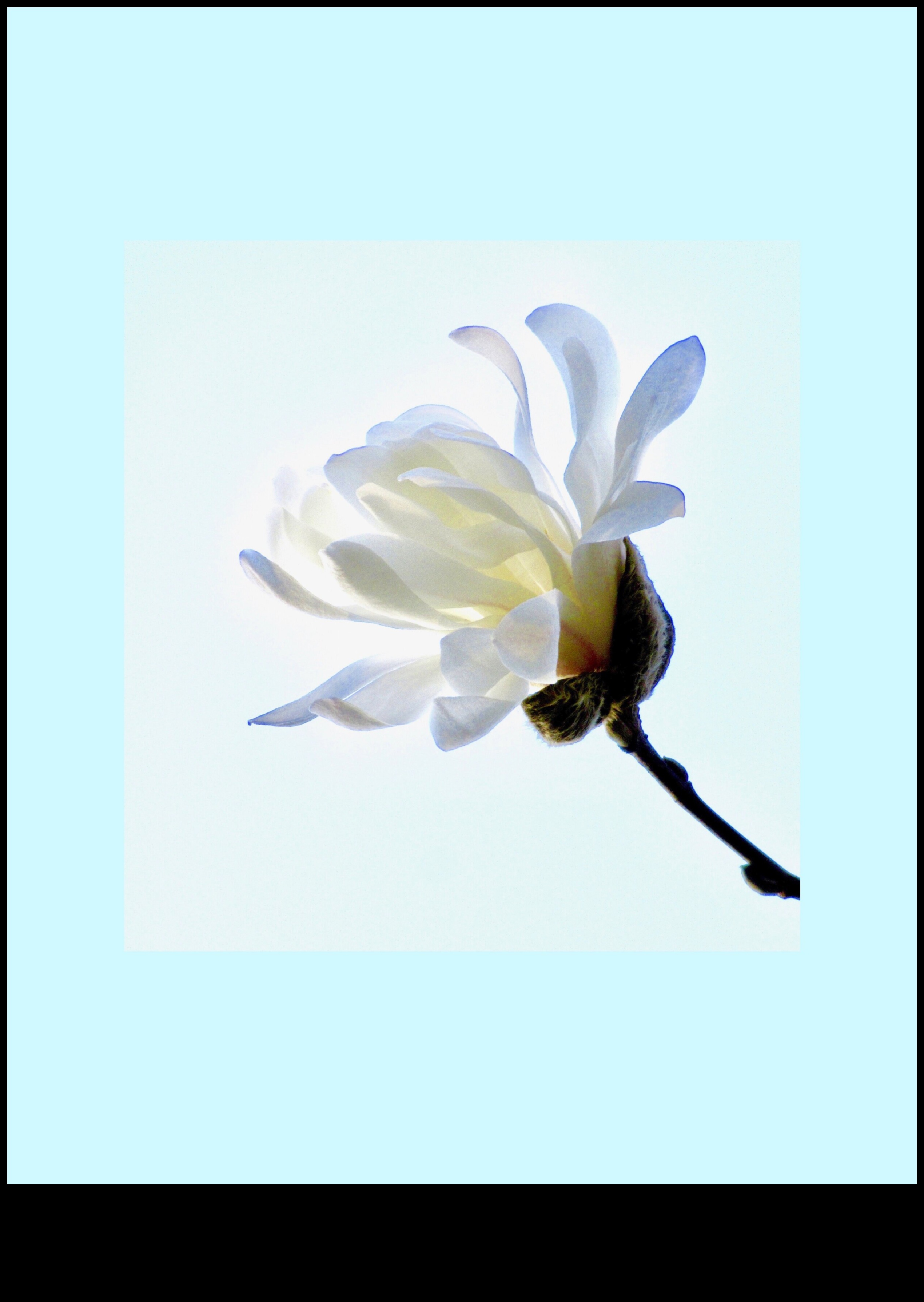 Klusuma miers: objektu zīmēšana miera stāvoklī