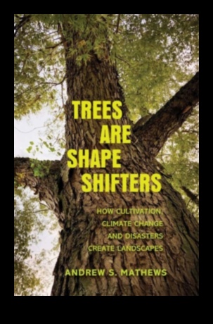 Kāpēc noteiktas ainavas ir neaizsargātākas pret dabas katastrofām?