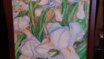 Kustības dabā: Zemes skaistuma iedvesmota māksla