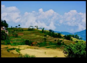 Kāpēc noteiktas ainavas ir neaizsargātākas pret dabas katastrofām?