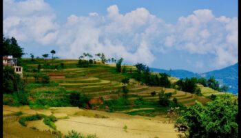 Kāpēc noteiktas ainavas ir neaizsargātākas pret dabas katastrofām?