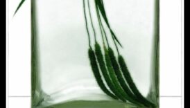 Klusuma miers: objektu zīmēšana miera stāvoklī