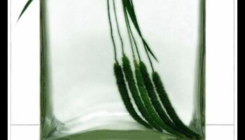 Klusuma miers: objektu zīmēšana miera stāvoklī